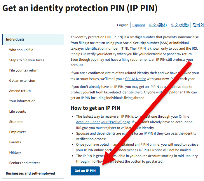 IRS Identity Protection PIN page with the Get an IP PIN button highlighted